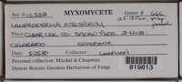 Image Associated With the Occurence